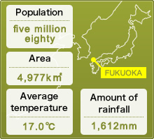About Fukuoka
